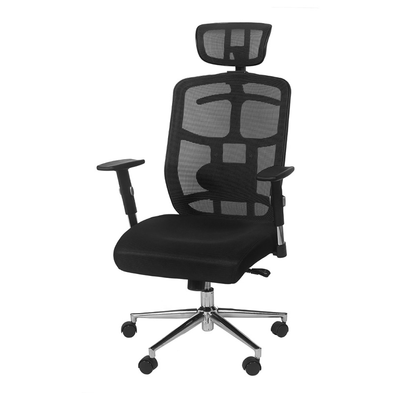 Topsky Mesh Computer Ergonomic Chair
