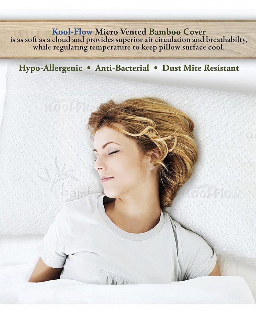 Xtreme Comforts Hypoallergenic Pillow Cover